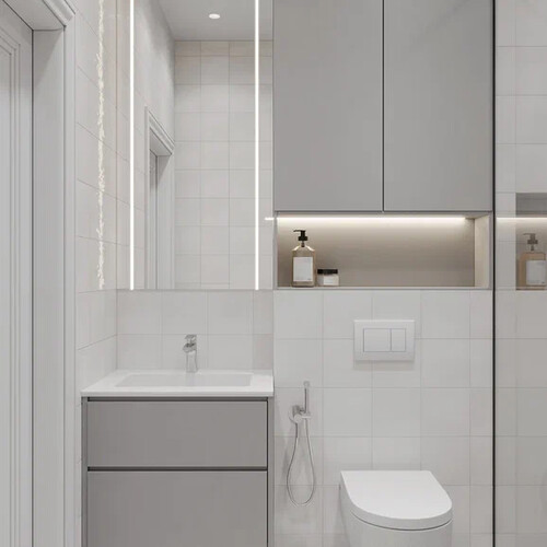 Гостевой санузел