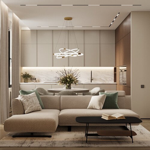 Кухня-гостиная