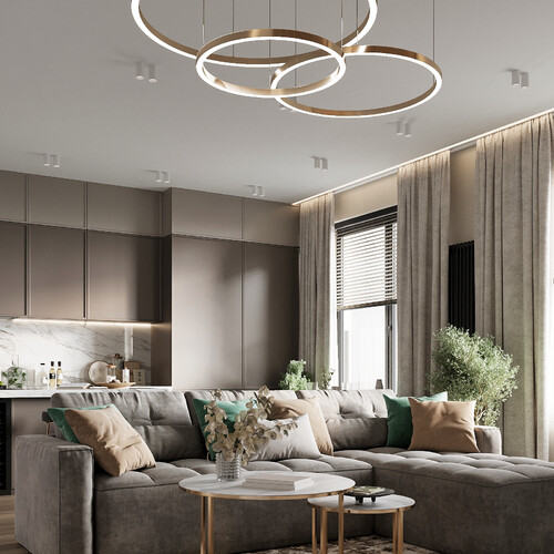 Кухня-гостиная