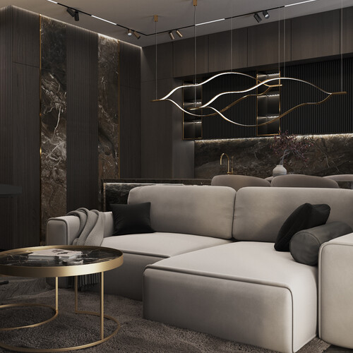 Кухня-гостиная