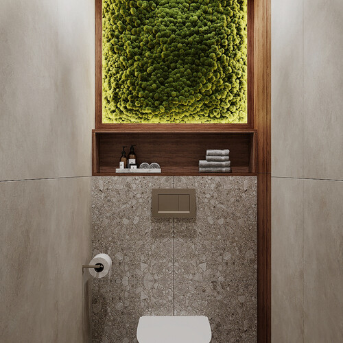 Гостевой санузел