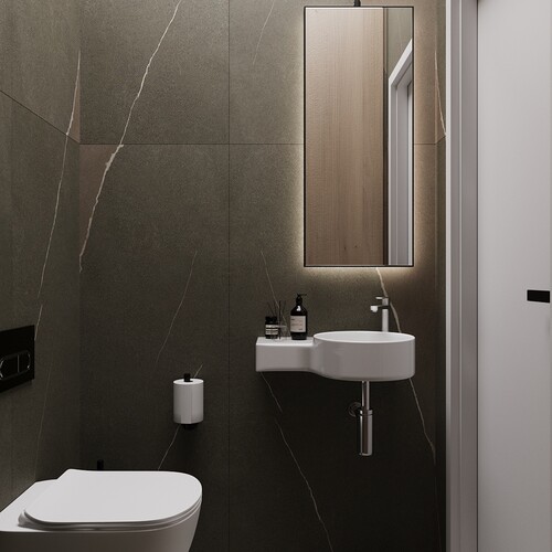 Гостевой санузел