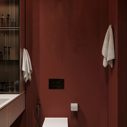 Гостевой санузел