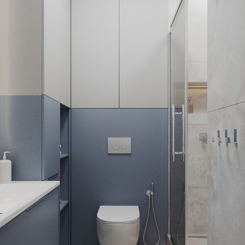 Гостевой санузел